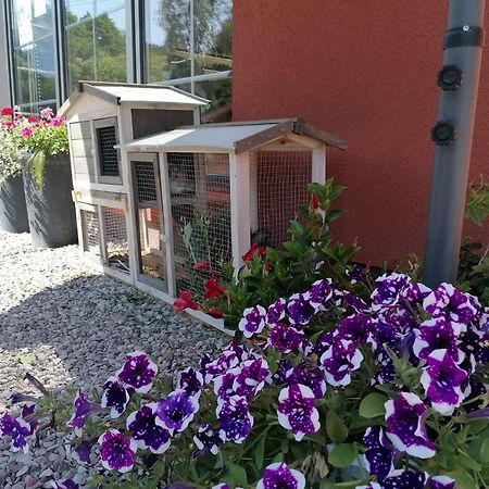 Gamtos Slenis Kaimo Turizmo Sodyba Bardinai Exteriör bild
