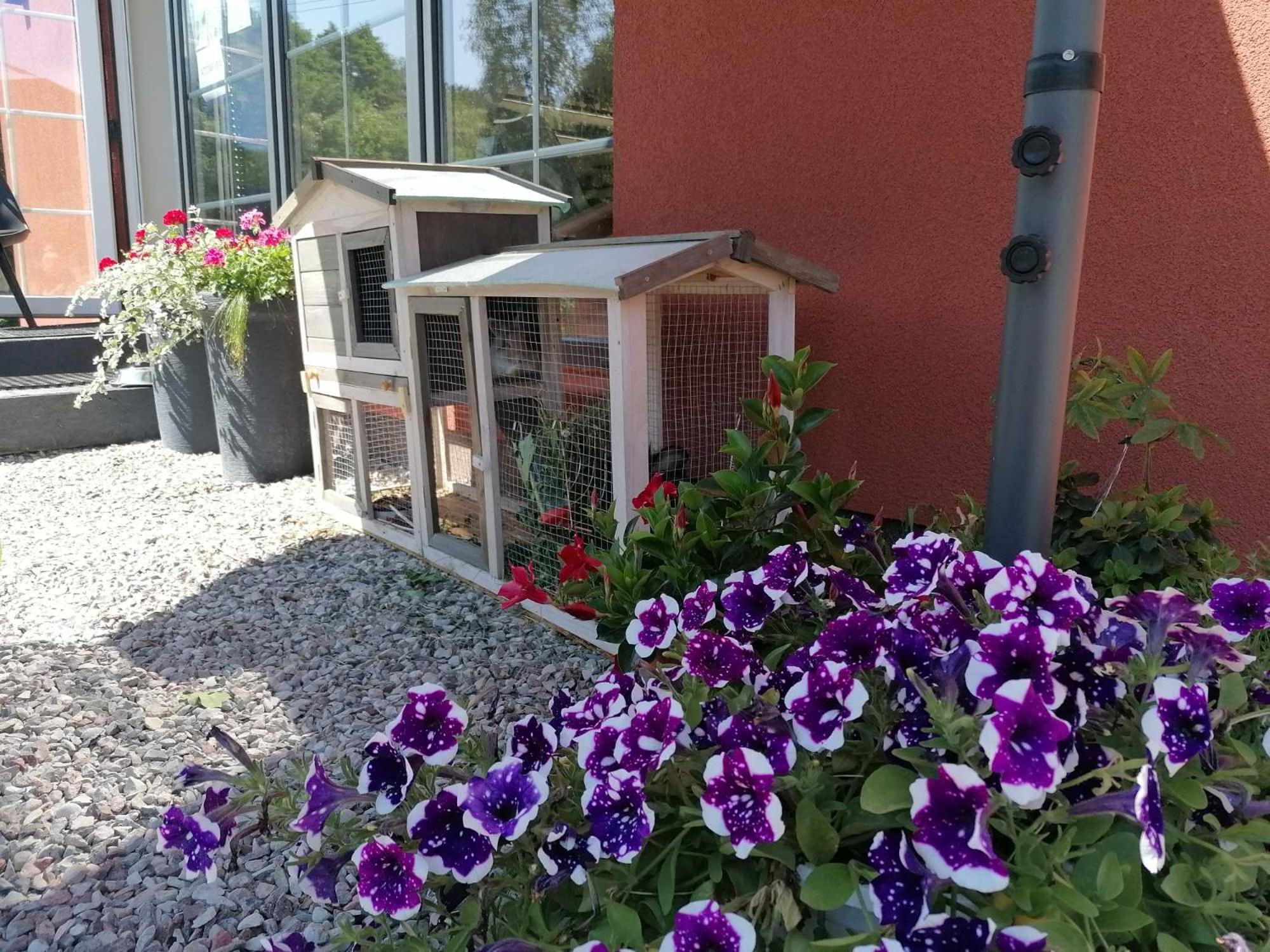 Gamtos Slenis Kaimo Turizmo Sodyba Bardinai Exteriör bild